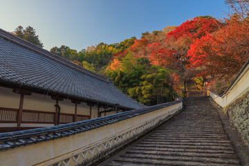 奈良　長谷寺の紅葉と石段