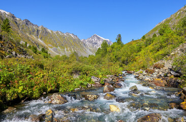 Stream water flows between boulders in mountain tundra