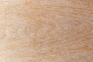Natural wood texture background, blank brown wood pattern background