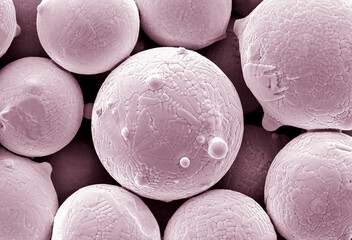 A closeup of powder particles for 3D printing. Photo taken with an electron microscope