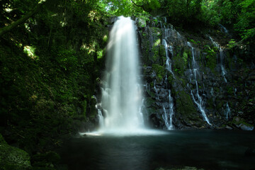 Fototapeta na wymiar 熊本県西原村の白糸の滝