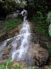 waterfall in the forest