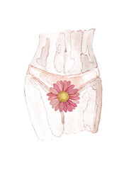 Watercolor Woman in white panties with red flower in bikini zone, close-up. Gynecology,...