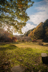 秋の風景