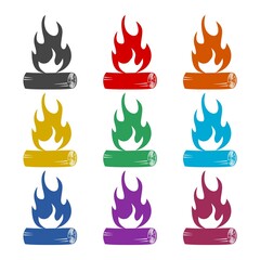 Wooden Camp Fire icon isolated on white background,  color set