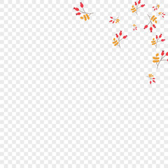 Pink Berries Background Transparent Vector. Herb Silhouette Card. Red Foliage Collection. Season Set. Leaves Gradation.