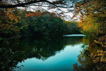 秋の湖
