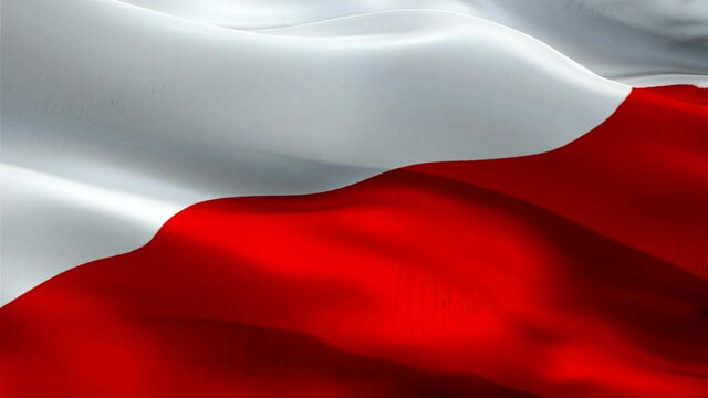 Poland flag video. National 3d Polish Flag Slow Motion video. Poland tourism Flag Blowing Close Up. Polish Flags Motion Loop HD resolution Background Closeup 1080p Full HD video flags waving in wind v