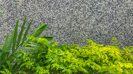 green plant in front of the cement wall