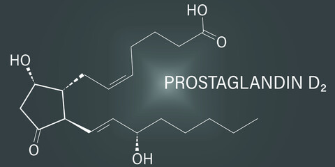 Prostaglandin D2, PGD2 molecule. Skeletal formula.	
