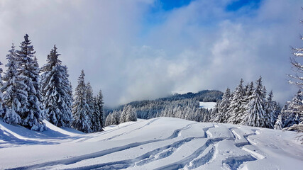 Fototapeta na wymiar Idyllic winter landscape on a sunny day. Vorarlberg, Austria.