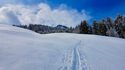 Fototapeta na wymiar Snow trail in idyllic winter landscape in the Austrian Alps. Vorarlberg, Austria.