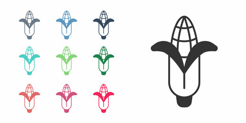 Black Corn icon isolated on white background. Set icons colorful. Vector