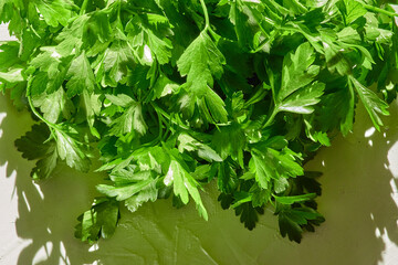 Green juicy parsley on a white background