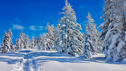 Idyllic winter landscape on sunny winter day. Laterns, Vorarlberg, Austria.