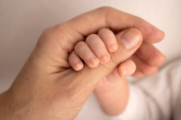 The newborn baby in a white closes has a firm grip on the parent's finger after birth. Close-up little hand of child and palm of mother and father. Parenting, childcare and healthcare concept.