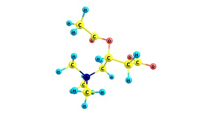 Acetyl-L-carnitine molecular structure isolated on white