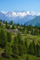 Fototapeta na wymiar The meadows, glaciers, lakes and mountains of the Simplon Pass: one of the most beautiful areas of Switzerland located in the heart of the Alps - July 2021.