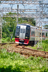 Fototapeta premium ローカル鉄道 