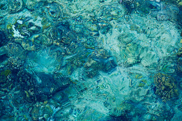 Fototapeta na wymiar Abstract blurred blue clear water background. Coral Reef under water of the Red Sea.