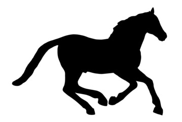 Silhouette of a running horse