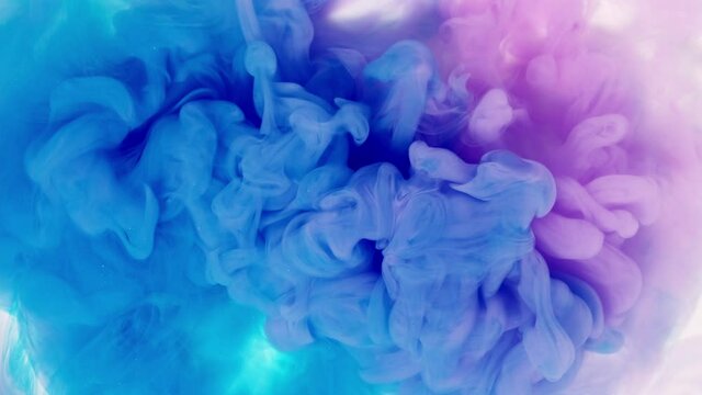 Blue and pink ink swirling mixing in water. white background