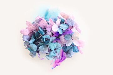 Fototapeta na wymiar Creative image of pink and turquoise Hydrangea flowers on artistic ink background. Top view with copy space