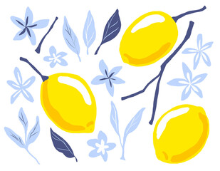Lemons, flowers flat clip art set. Citrus cartoon illustrations isolated on white. Fruit hand drawn clipart collection.