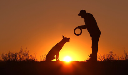 Silhouettes of a man and a Malinois dog on a sunset background, a man trains a dog