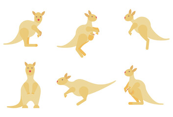 Kangaroo set, wallaby Australian animal character in different poses, Vector cartoon illustration in flat stile. 