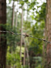 絡まった針金のクローズアップ