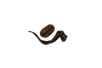 Roasted coffee bean and dried tea leaf isolated on white background.