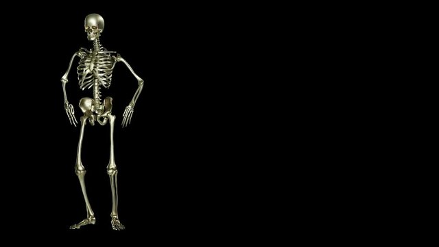 Skeleton dancing. Seamless loop animation on black background, slide Hip Hop, Ghost character, Dancing Skull, Transparent video with luma matte, 3d render