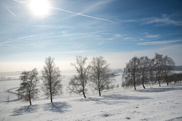 Winterlandschaft mit Bäumen