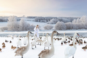 A girl in white clothes feeds white swans on a lake in winter against a background of a snowy forest