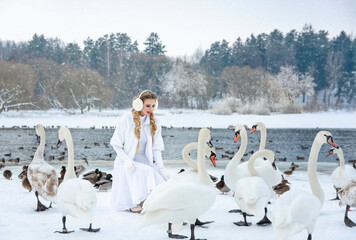 A girl in white clothes feeds white swans on a lake in winter against a background of a snowy forest © Елена Вилкова