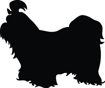 Shih Tzu Dog Silhouette Shih Tzu Dog SVG