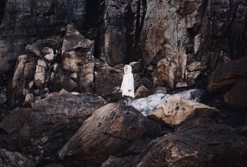 Fototapeta premium Fashion shooting in nature, a girl model in a fur coat made of artificial fur.