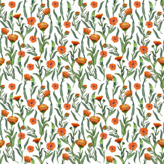 Seamless pattern on a white background painted in watercolor. Suitable for textile design, scrapbooking, wallpaper and paper.