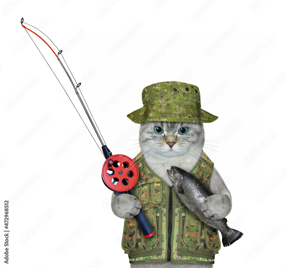 Wall mural an ashen cat fisher with a fishing rod caught a trout. white background. isolated.