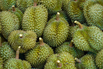 Durian pattern background shuffle random adjust Thailand fruit