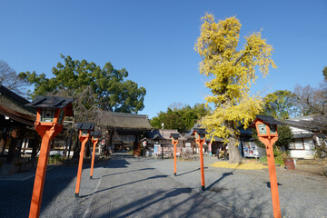 秋の平野神社　中門と銀杏の木　京都市北区