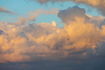 wonderful feast of flame-like clouds