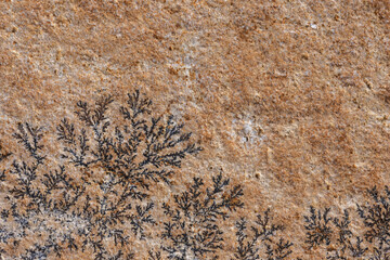 Manganese Dendrite, Rock Stone Background