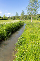 The infant River Coln in June near the Cotswold village of Yanworth, Gloucestershire UK
