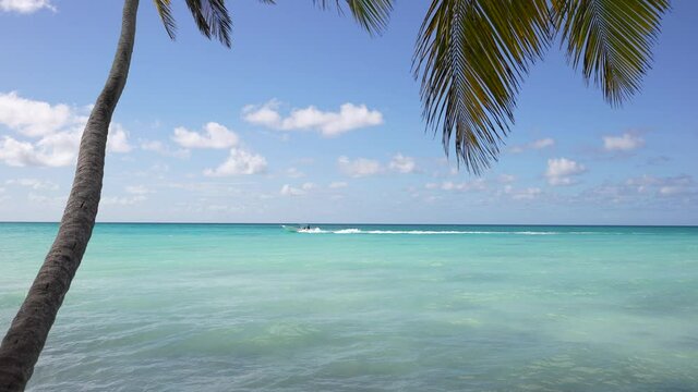 Colorful catamaran on azure water against blue sky and exotic palm trees, Caribbean Islands
