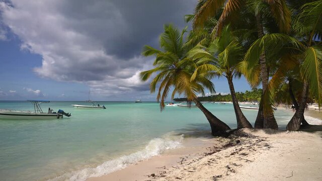 sea, coconut palms and boat. Dominican republic
