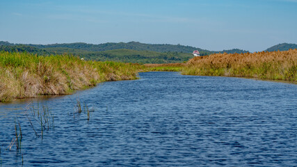 Botanical Gardens in Thailand