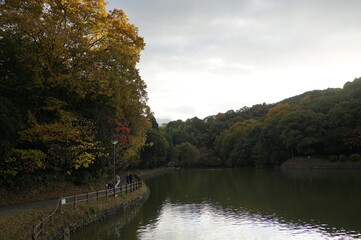 Fototapeta premium 湖