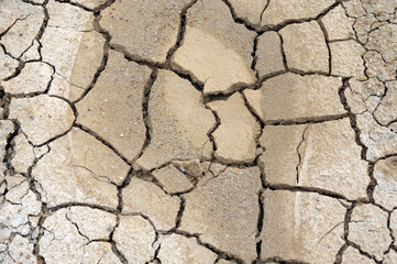 dry cracked earth
